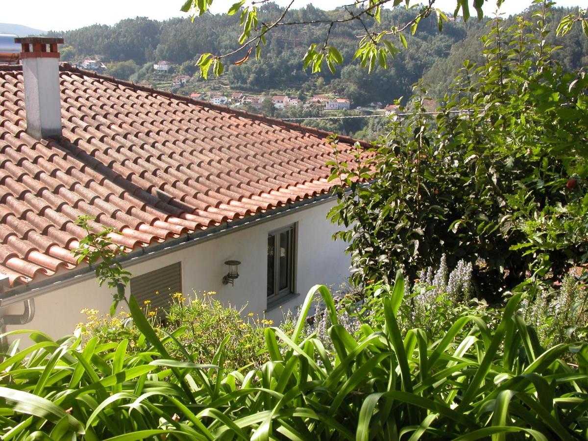 Casa Do Outeiro Βίλα Penacova Εξωτερικό φωτογραφία