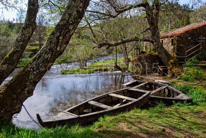 Casa Do Outeiro Βίλα Penacova Εξωτερικό φωτογραφία